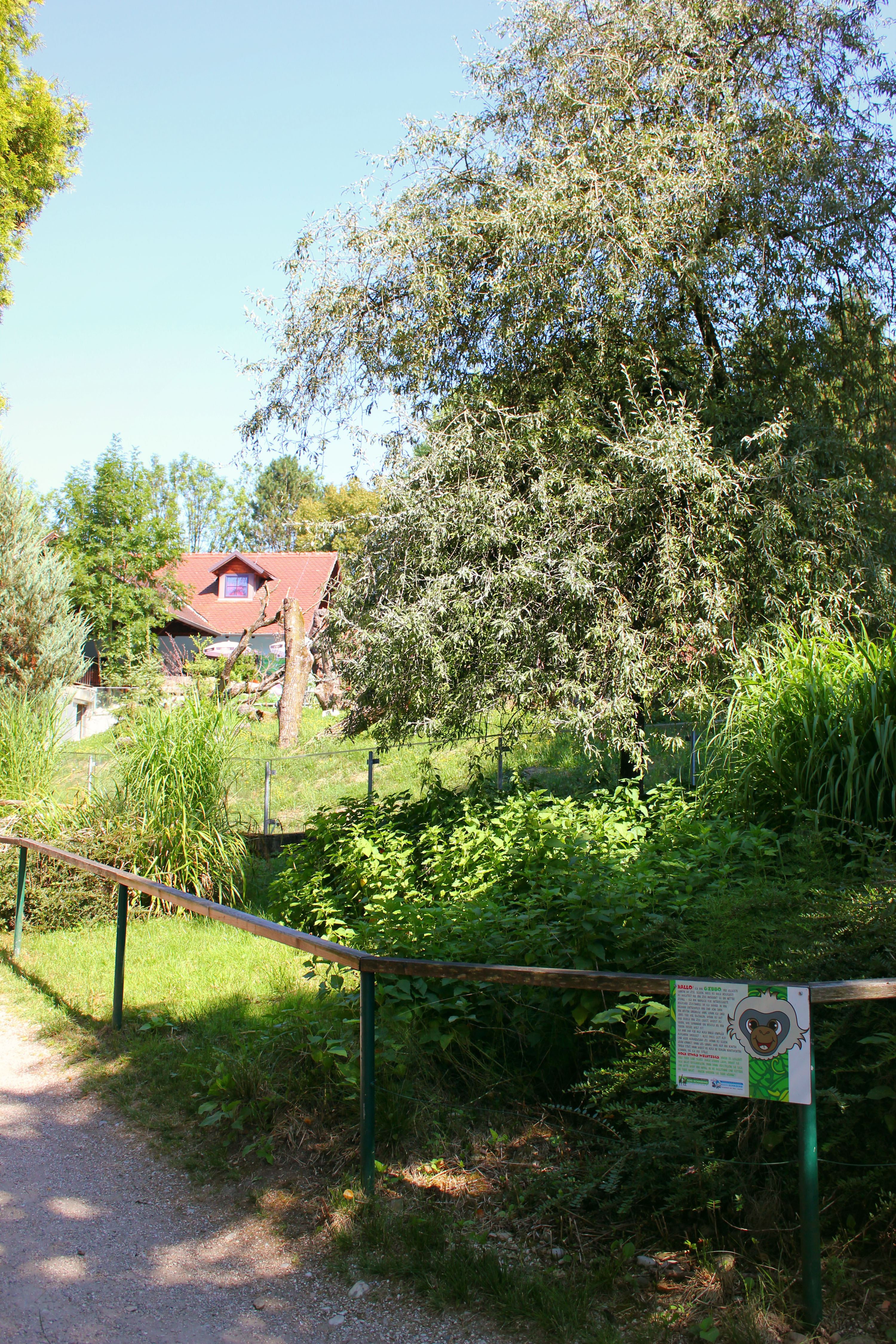 Ausflugsziel: Zoo Schmiding Aqua Zoo