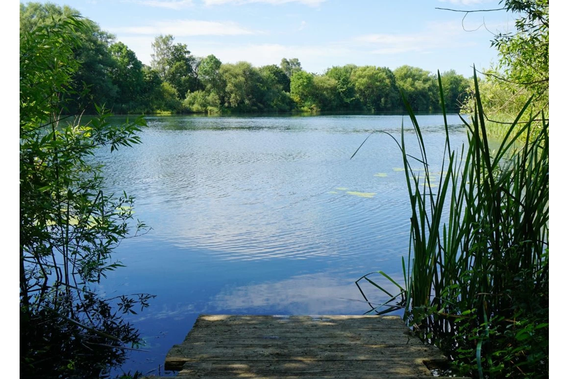 Ausflugsziel: Badesee Waldhausen
