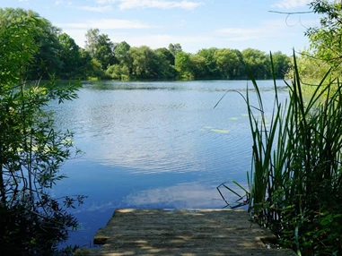 Ausflugsziel: Badesee Waldhausen