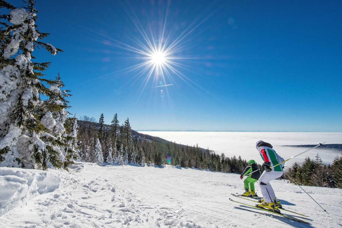 Ausflugsziel: Panorama Skifahren mit Blick bis in die Alpen - Skigebiet Hochficht - Skispaß für die ganze Familie