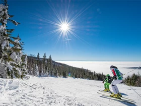 Ausflugsziel: Skigebiet Hochficht - Skispaß für die ganze Familie
