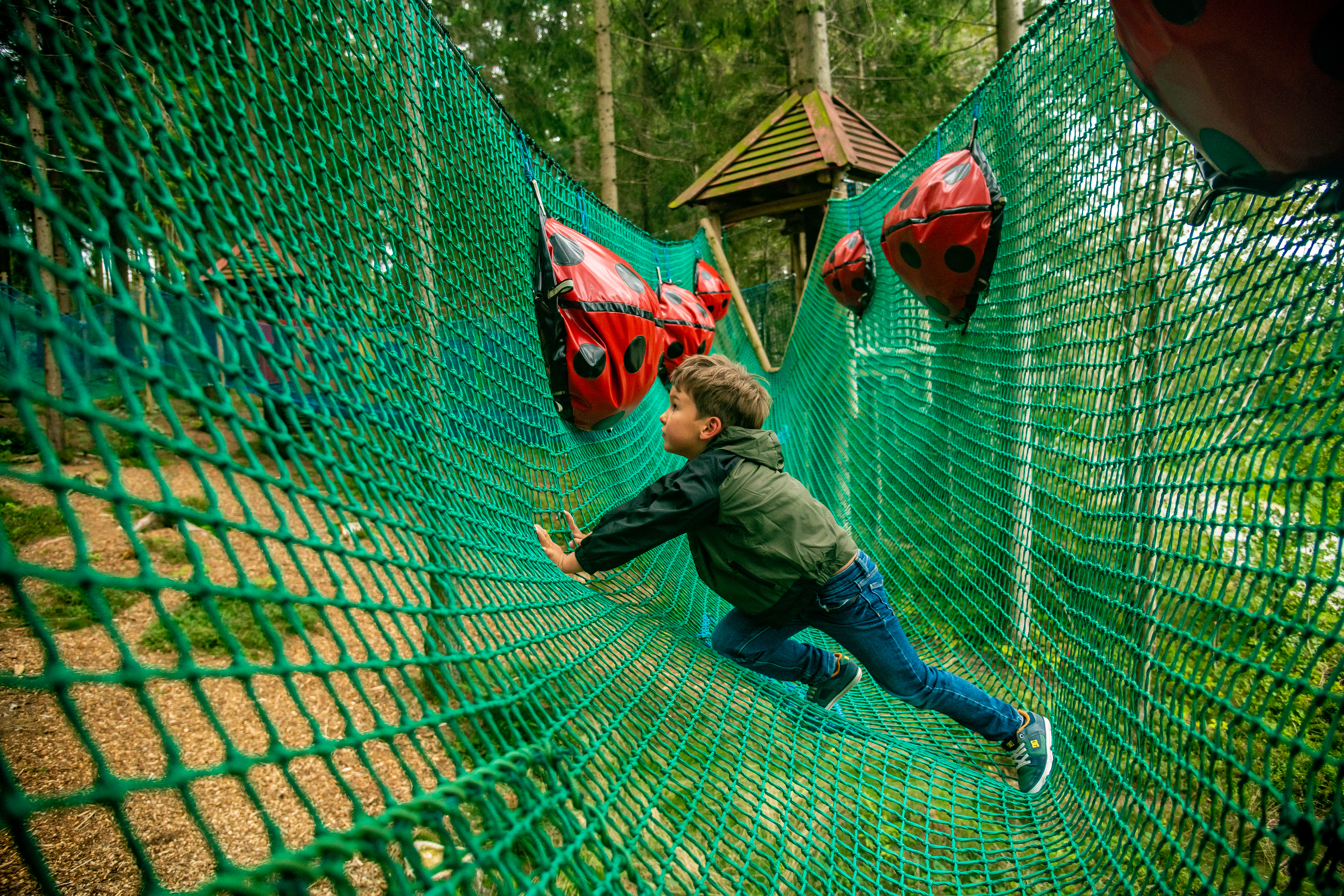 Ausflugsziel: Kinderkletterpark Kirchschlag Ralf & Walter