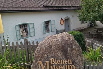 Ausflugsziel: Bienenmuseum
