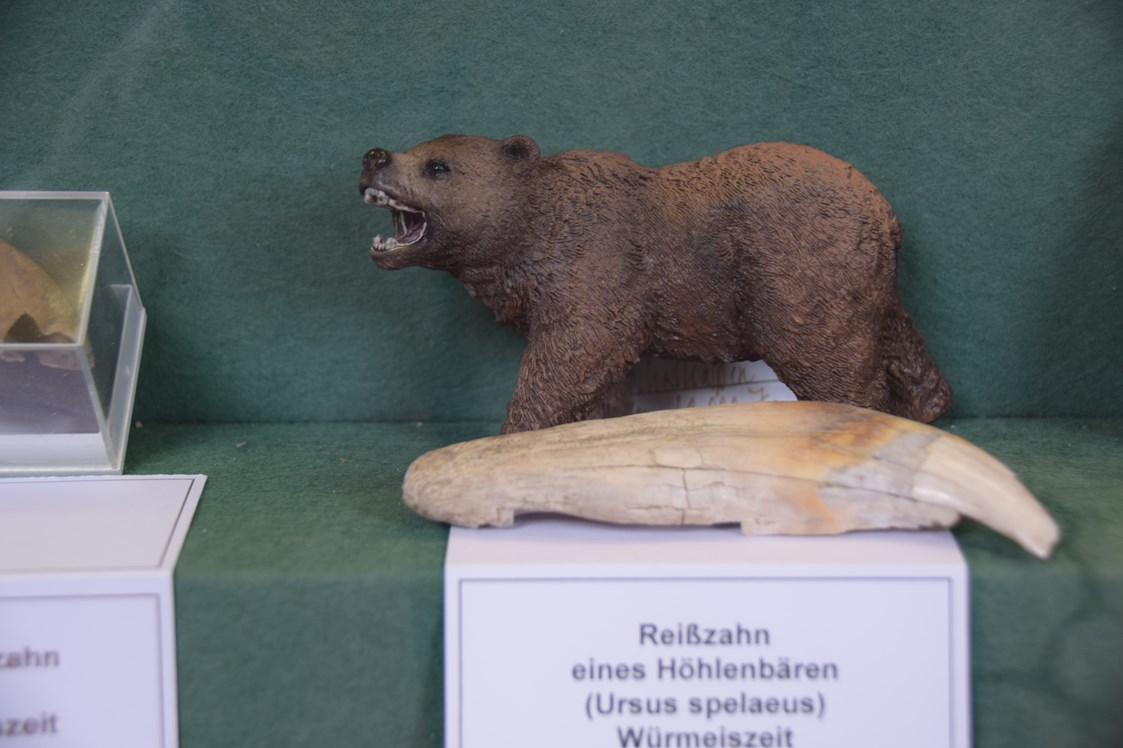 Ausflugsziel: Bärenzahn  - Kaolinum Bergbaumuseum