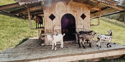 Reis met kinderen - Bruckmühl (Landkreis Rosenheim) - Tiergehege im Freizeitpark Zahmer Kaiser in Walchsee/Tirol - Sommerrodelbahn Walchsee