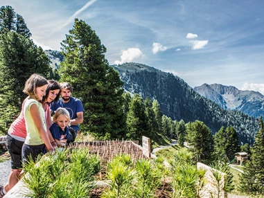 Ausflugsziel: Wanderung entlang des 1 km langen Rundwanderweges mit 14 unterschiedlichen Stationen! - ZirbenPark Hochzeiger mit ZirbenCarts