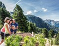 Ausflugsziel: Wanderung entlang des 1 km langen Rundwanderweges mit 14 unterschiedlichen Stationen! - ZirbenPark Hochzeiger mit ZirbenCarts