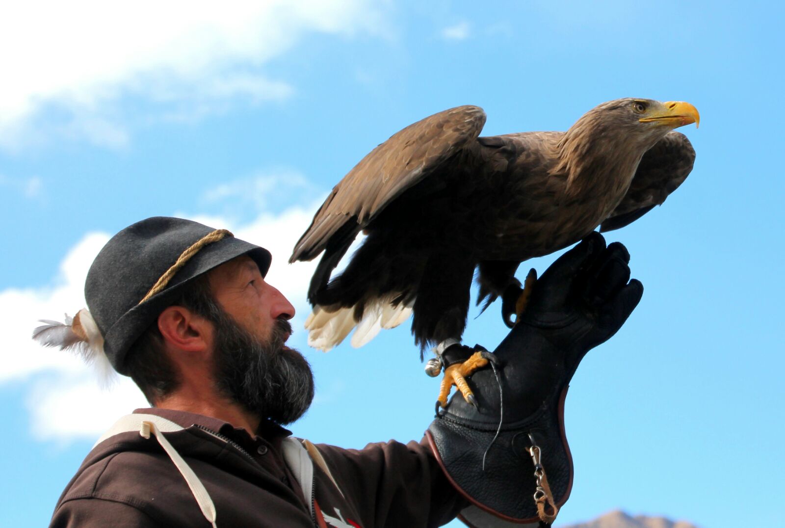Ausflugsziel: Ötzi-Dorf und Greifvogelpark