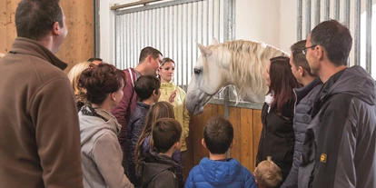 Viaggio con bambini - Großharras - Heldenberg - Lipizzaner Trainingszentrum: Die Lipizzaner der Spanischen Hofreitschule sind im Trainingszentrum am Heldenberg in den Stallungen, im Freigelände und bei der Ausbildung zu besichtigen. Der Heldenberg ist der dritte Standort der Spanischen Hofreitschule neben Piber und Wien. Die Junghengste verschiedener Jahrgänge sind ganzjährig am Heldenberg in den Stallungen zu sehen und werden in der Ausbildung für Vorführungen in der Spanischen Hofreitschule vorbereitet. Ein weiteres Highlight im Trainingszentrum ist die Kutschenausstellung und Lipizzaner-Lehrpfad. - DER HELDENBERG