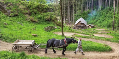 Ausflug mit Kindern - Pöls - Fuhrwerk mit unterem Handwerksdorf - Erlebnis Burgbau Friesach