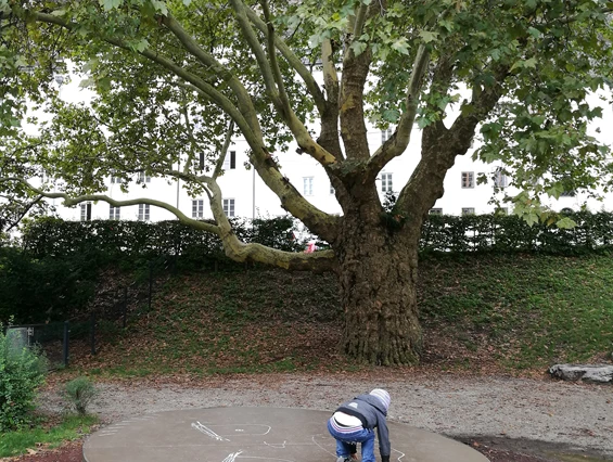 Ausflugsziel: Spielplatz Franz-Josef-Kai