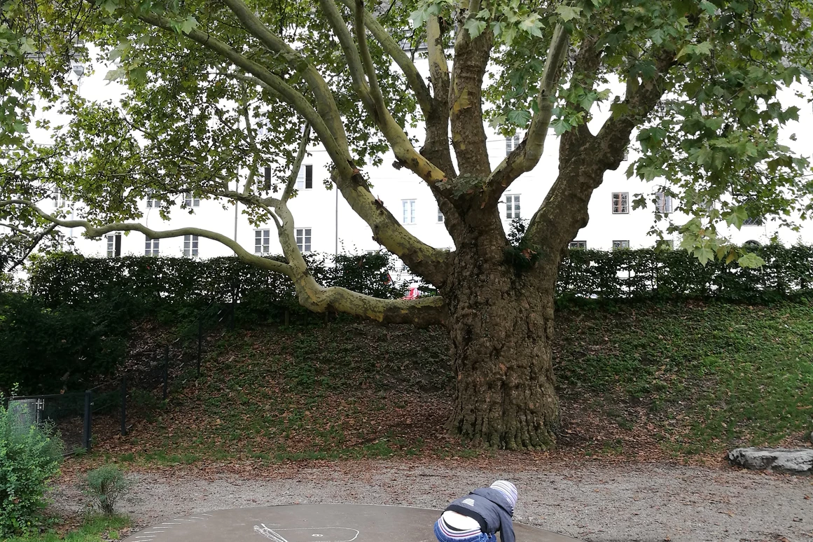 Ausflugsziel: Spielplatz Franz-Josef-Kai