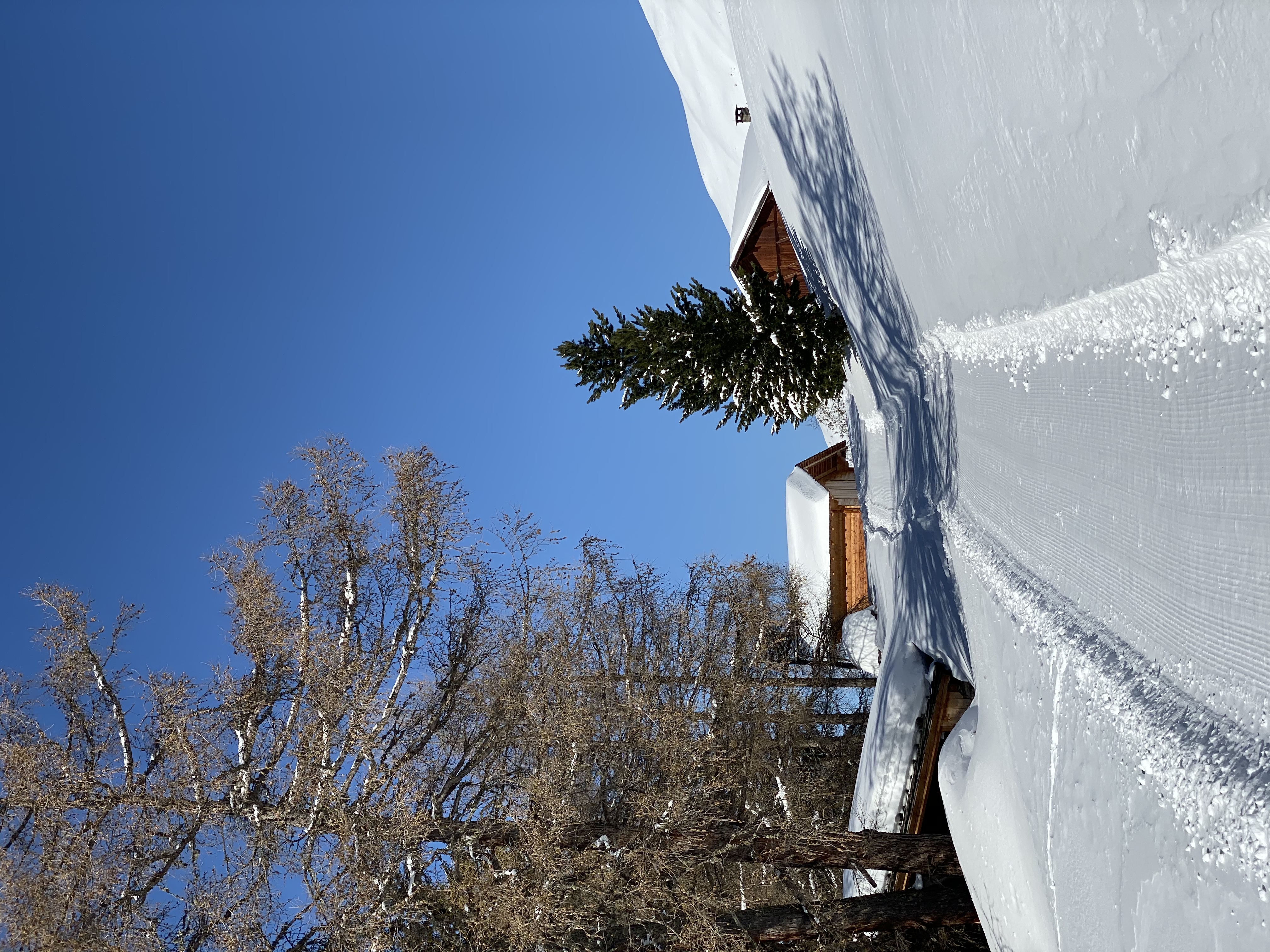 Ausflugsziel: Rodelbahn Weizgruberalm