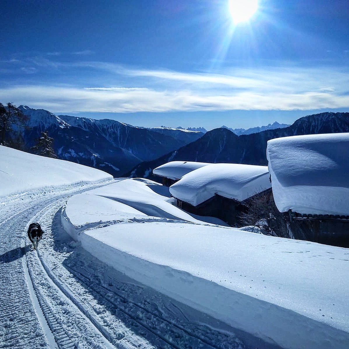 Ausflugsziel: Rodelbahn Weizgruberalm