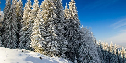 Viaggio con bambini - San Martin Dolomites - Symbolbild für Ausflugsziel Tschantschenon - Zanser Schwaige. Keine korrekte oder ähnlich Darstellung! - Tschantschenon - Zanser Schwaige