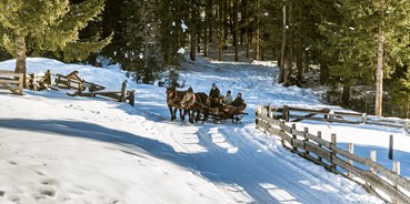 Ausflug mit Kindern - Themenschwerpunkt: Pferde - Dolomiten - Pferdeschlittenfahrten im Gsieser Tal