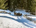 Ausflugsziel: Pferdeschlittenfahrten im Gsieser Tal