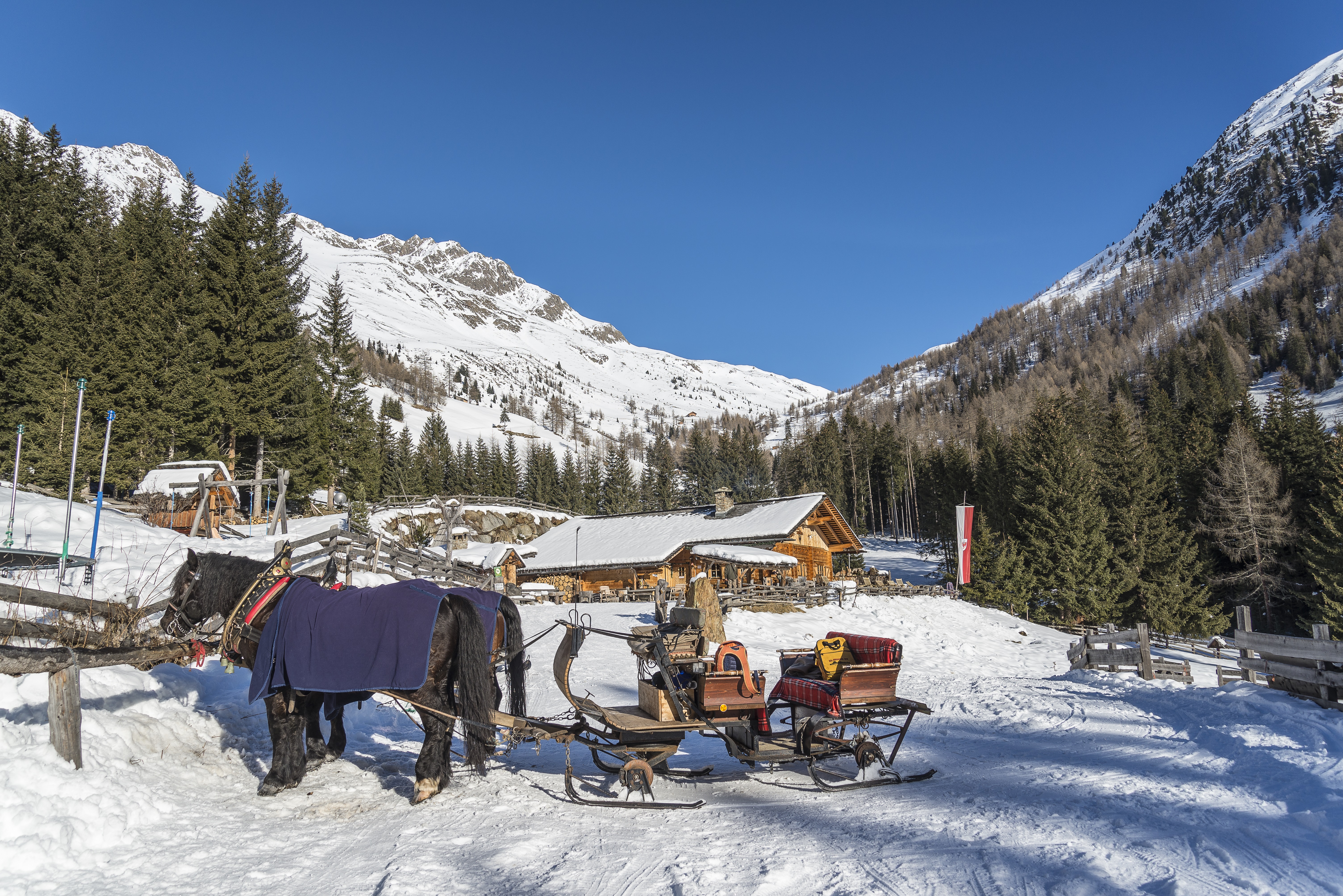 Ausflugsziel: Pferdeschlittenfahrten im Gsieser Tal