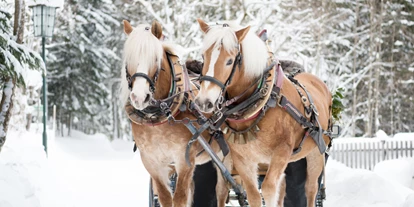 Voyage avec des enfants - Dorf Tirol - Symbolbild für Ausflugsziel Pferdeschlittenfahrten Erich Fill. Keine korrekte oder ähnliche Darstellung! - Pferdeschlittenfahrten Erich Fill