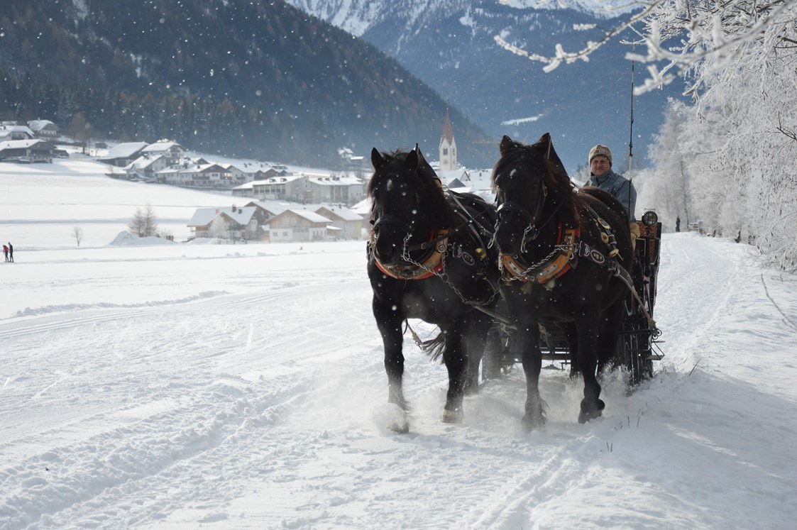 Ausflugsziel: Pferdekutschen- und Schlittenfahrten Leitgeb