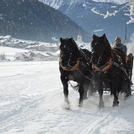 Ausflugsziel: Pferdekutschen- und Schlittenfahrten Leitgeb
