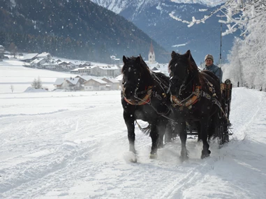 Ausflugsziel: Pferdekutschen- und Schlittenfahrten Leitgeb
