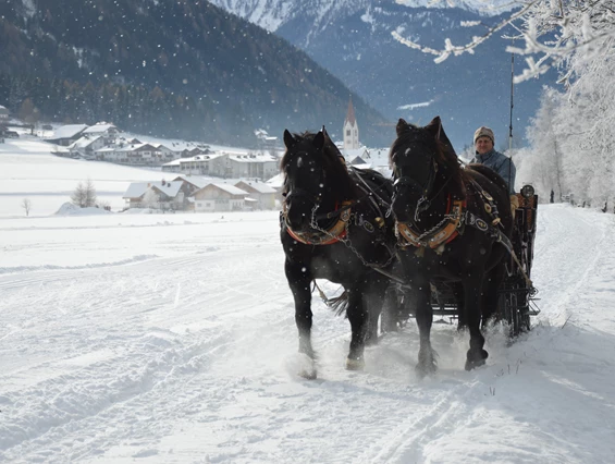 Ausflugsziel: Pferdekutschen- und Schlittenfahrten Leitgeb