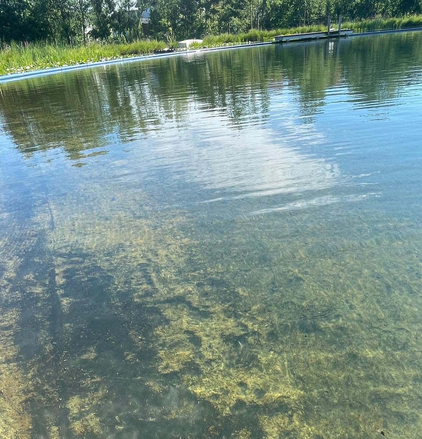 Ausflugsziel: Eberschwanger Naturbad