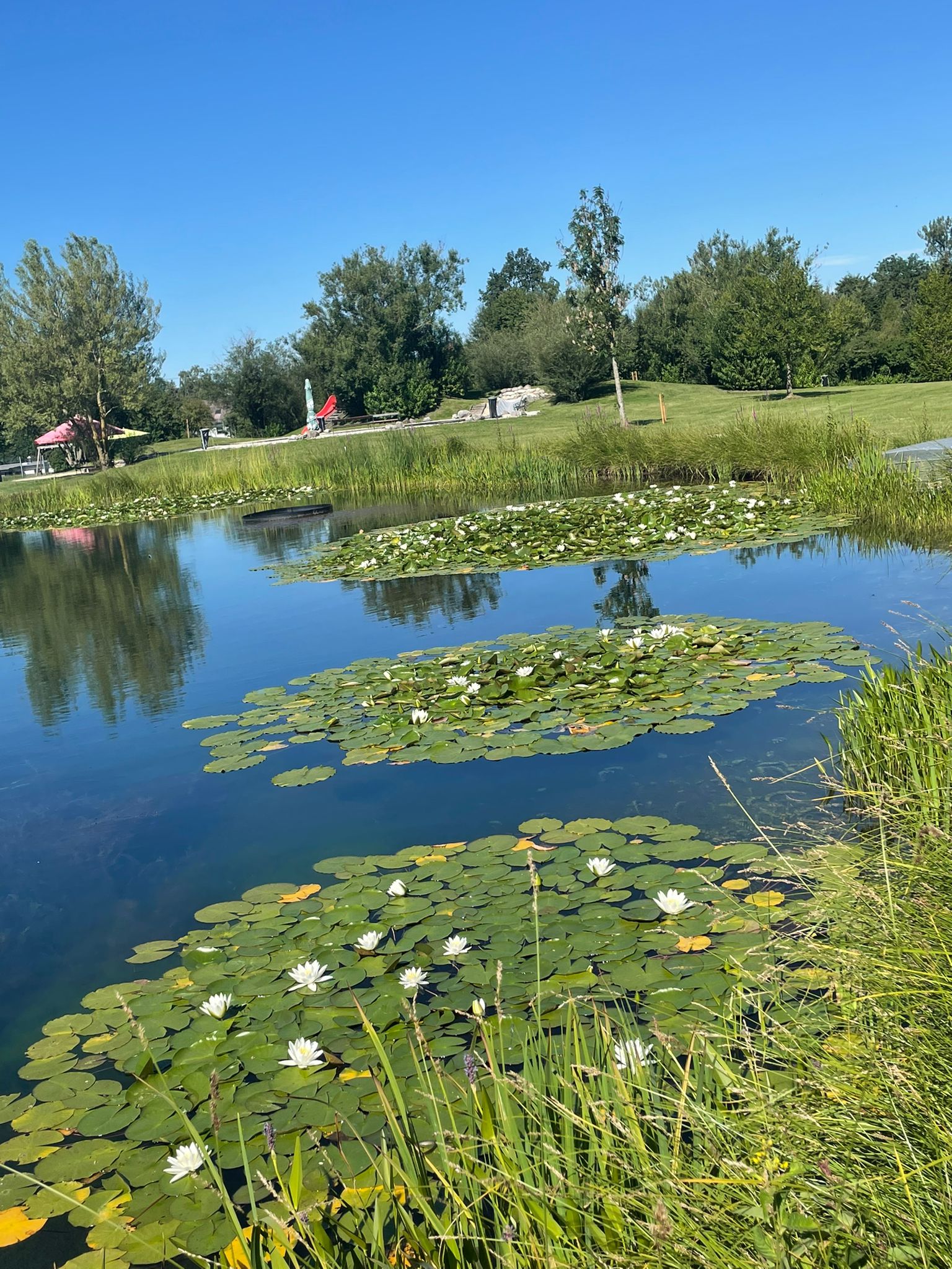 Ausflugsziel: Eberschwanger Naturbad