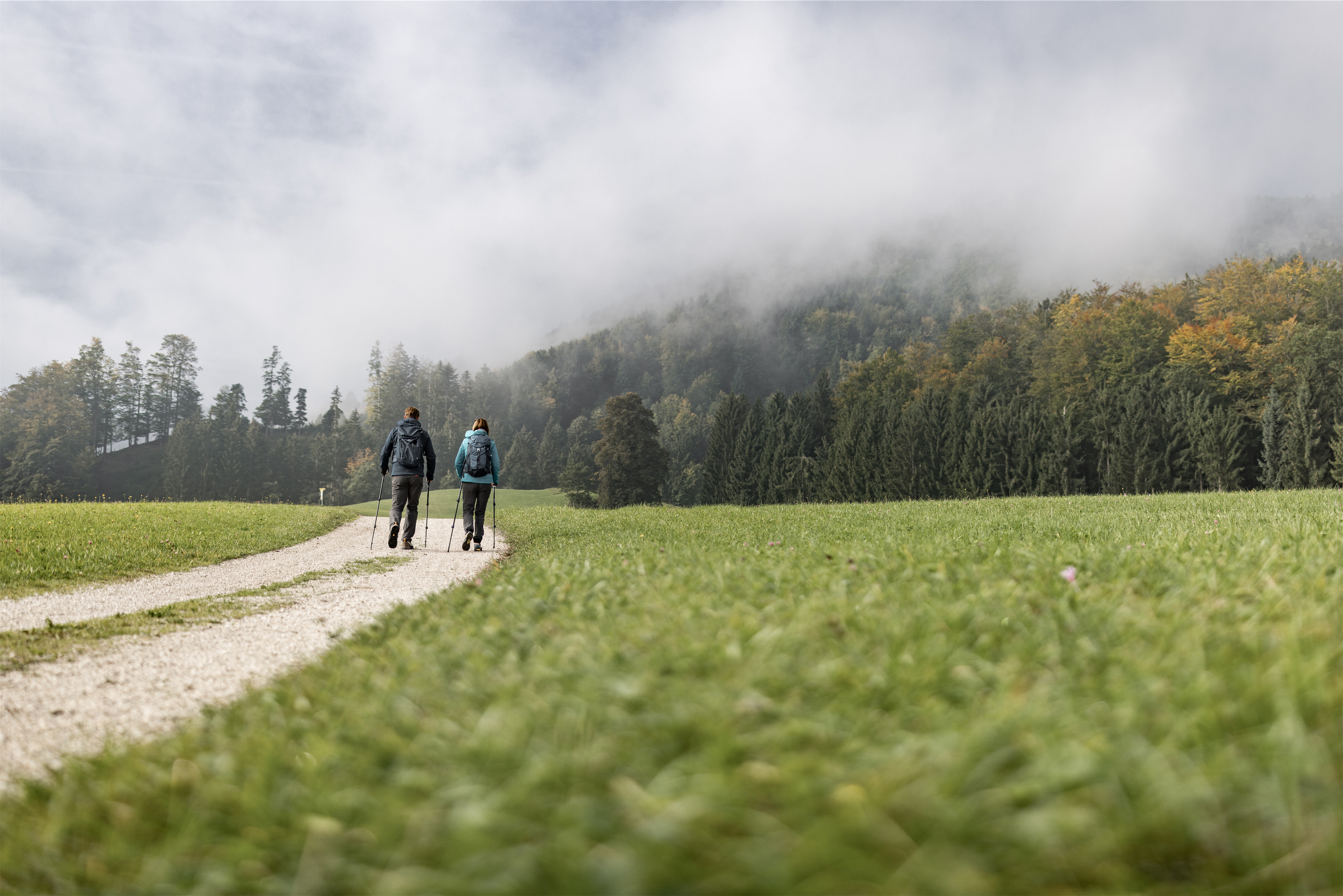 Ausflugsziel: Hochmoorgebiet Egelsee