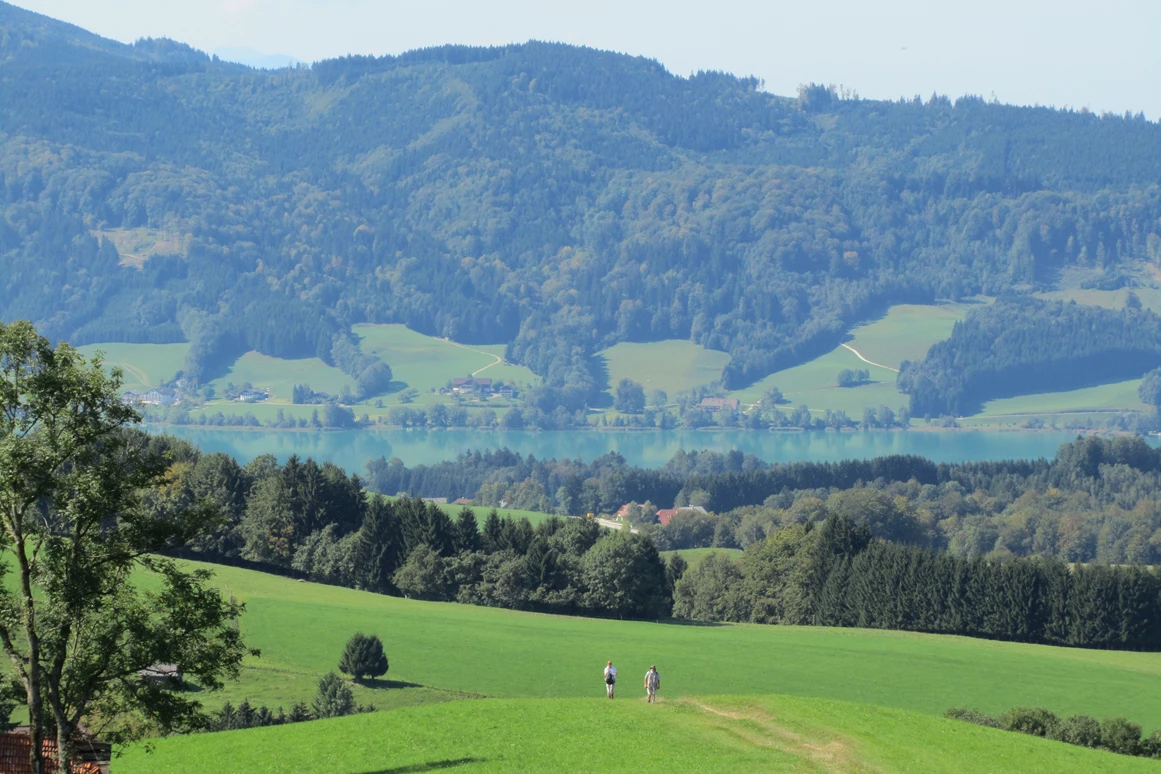 Ausflugsziel: Aussichtsplatz am Irrsee: Die Heissinger Höhe (c) TVB Mondsee - Irrsee - Heissinger Höhe