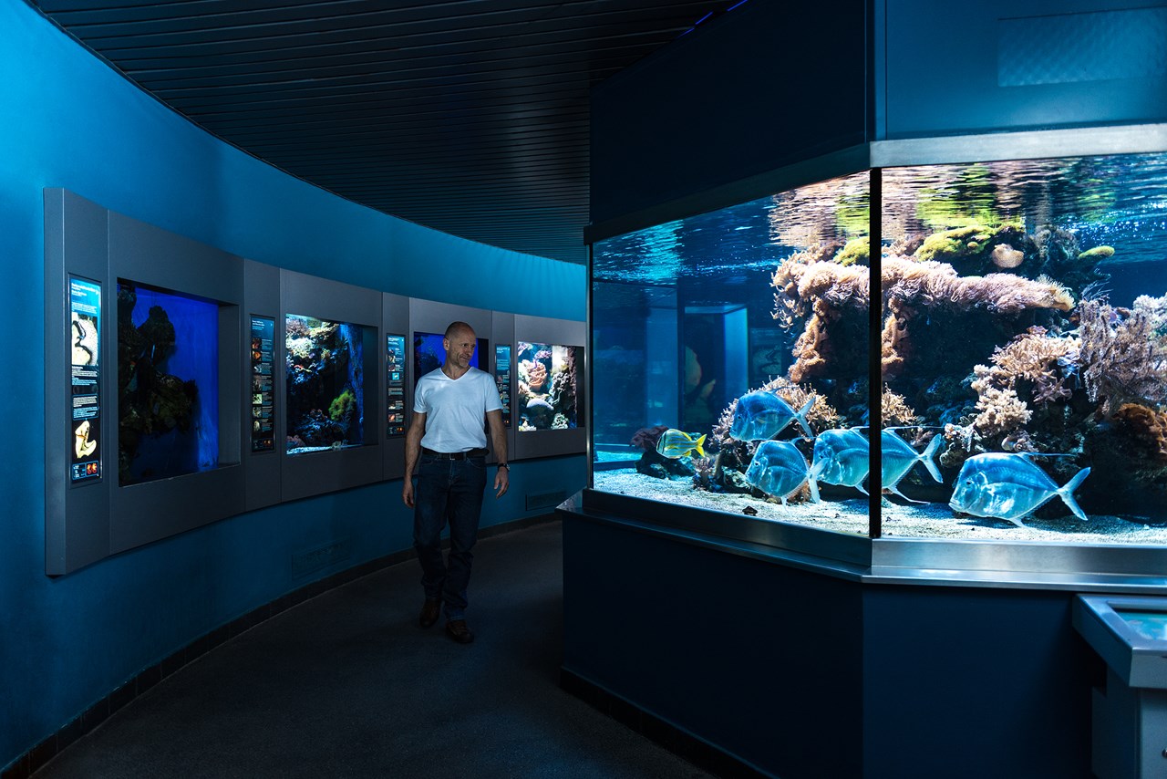 Haus der Natur - Museum für Natur und Technik Highlights beim Ausflugsziel Aquarium