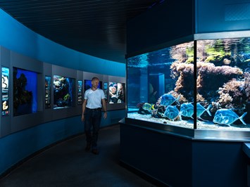Haus der Natur - Museum für Natur und Technik Highlights beim Ausflugsziel Aquarium