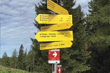 Ausflugsziel: Zwölferhorn Seilbahn