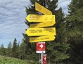 Ausflugsziel: Zwölferhorn Seilbahn