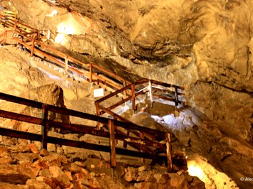 Lamprechtshöhle Highlights at the destination Lamprechts Cave