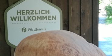 Ausflug mit Kindern - Patergassen - Pilz Museum