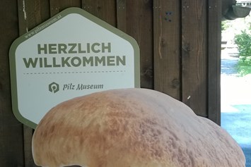 Ausflugsziel: Pilz Museum