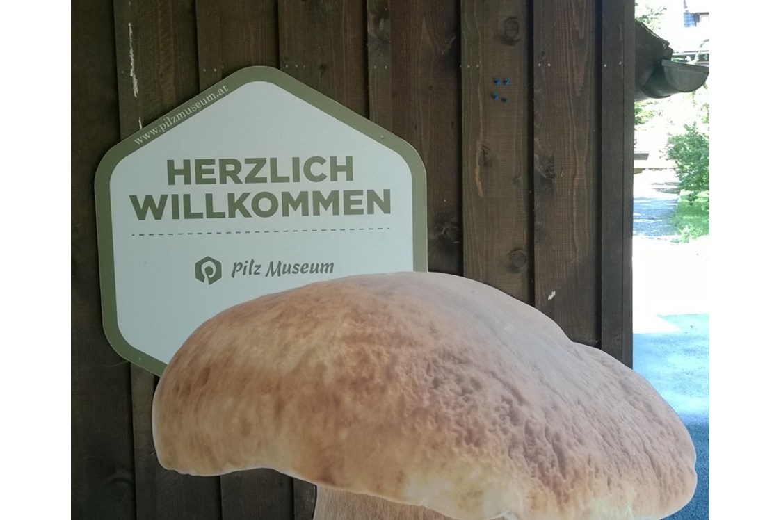Ausflugsziel: Pilz Museum
