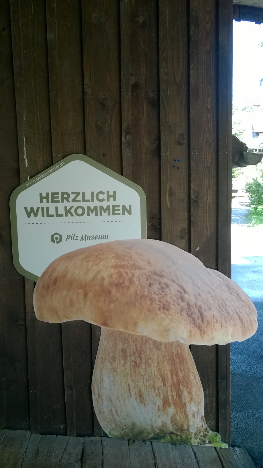 Ausflugsziel: Pilz Museum