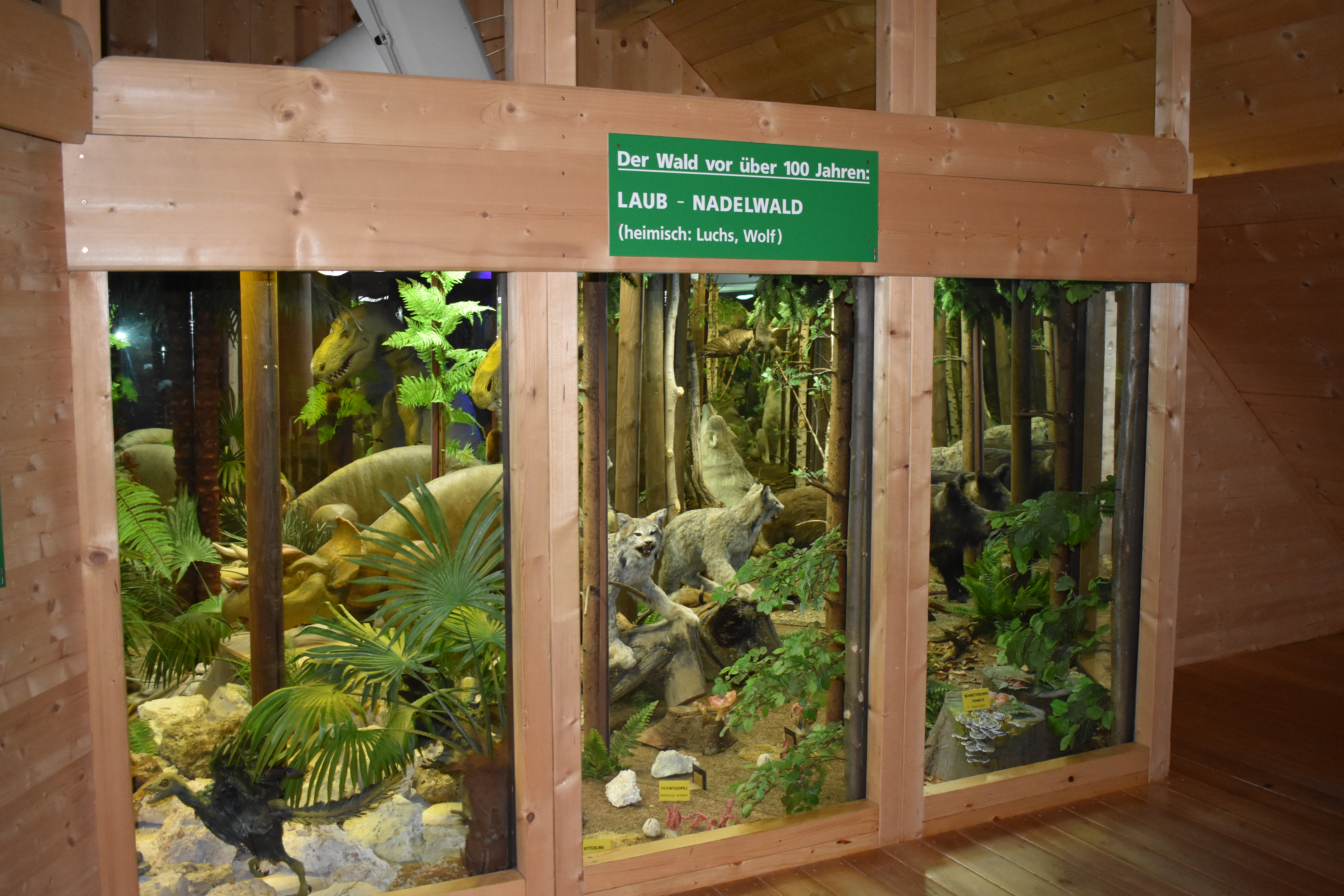 Ausflugsziel: Pilz Museum