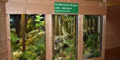 Ausflug mit Kindern - Reauz - Pilz Museum