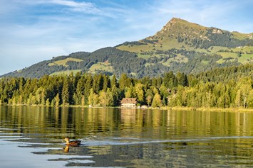 Ausflugsziel: Naturbadesee Schwarzsee