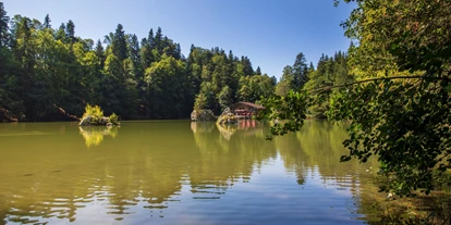 Voyage avec des enfants - Kitzbühel - Naturbadesee Berglsteinersee