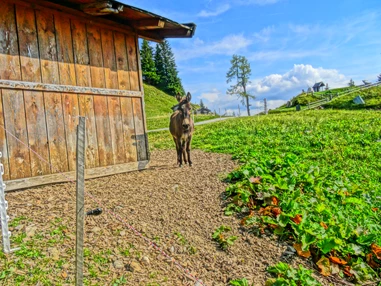 Ausflugsziel: Geisterberg