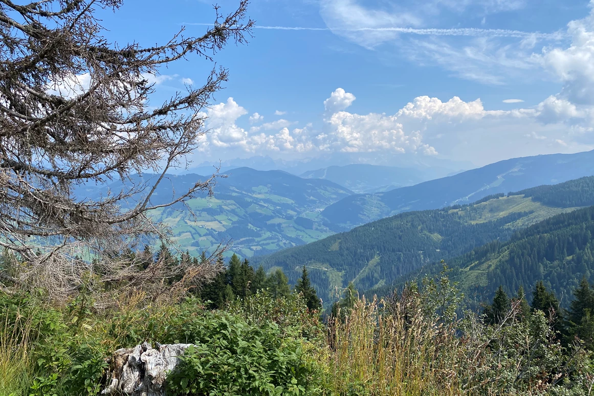 Ausflugsziel: Ausblick  - Geisterberg