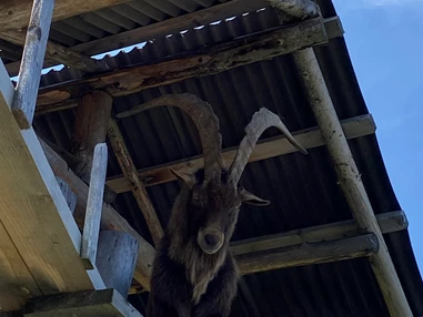 Ausflugsziel: Tiere  - Geisterberg
