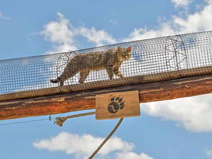 Voyage avec des enfants - Unterlaussa (Weyer) - Der Cat Walk ist die Verbindung zwischen den beiden Wildkatzen-Gehegen. - Der Wilde Berg Mautern