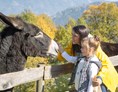 Ausflugsziel: Unsere Tiere lieben die Streicheleinheiten - Der Wilde Berg Mautern