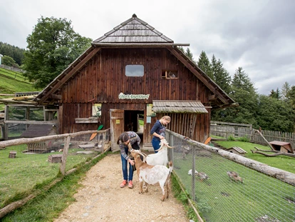 Voyage avec des enfants - Unterlaussa (Weyer) - Kinderbauernhof - Der Wilde Berg Mautern